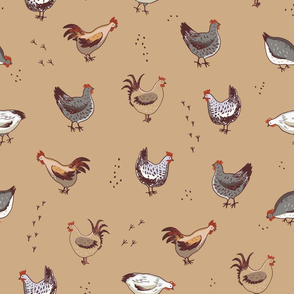 Chicken domestic animals vector seamless pattern.