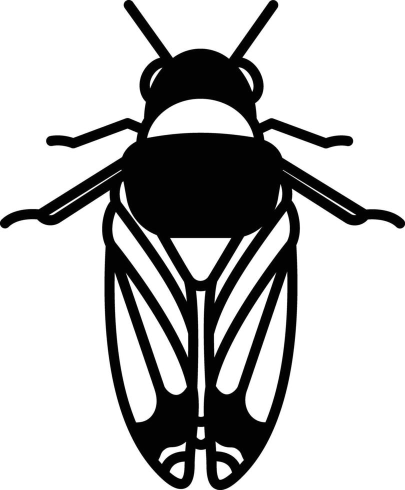 Cicadidae glyph and line vector illustration