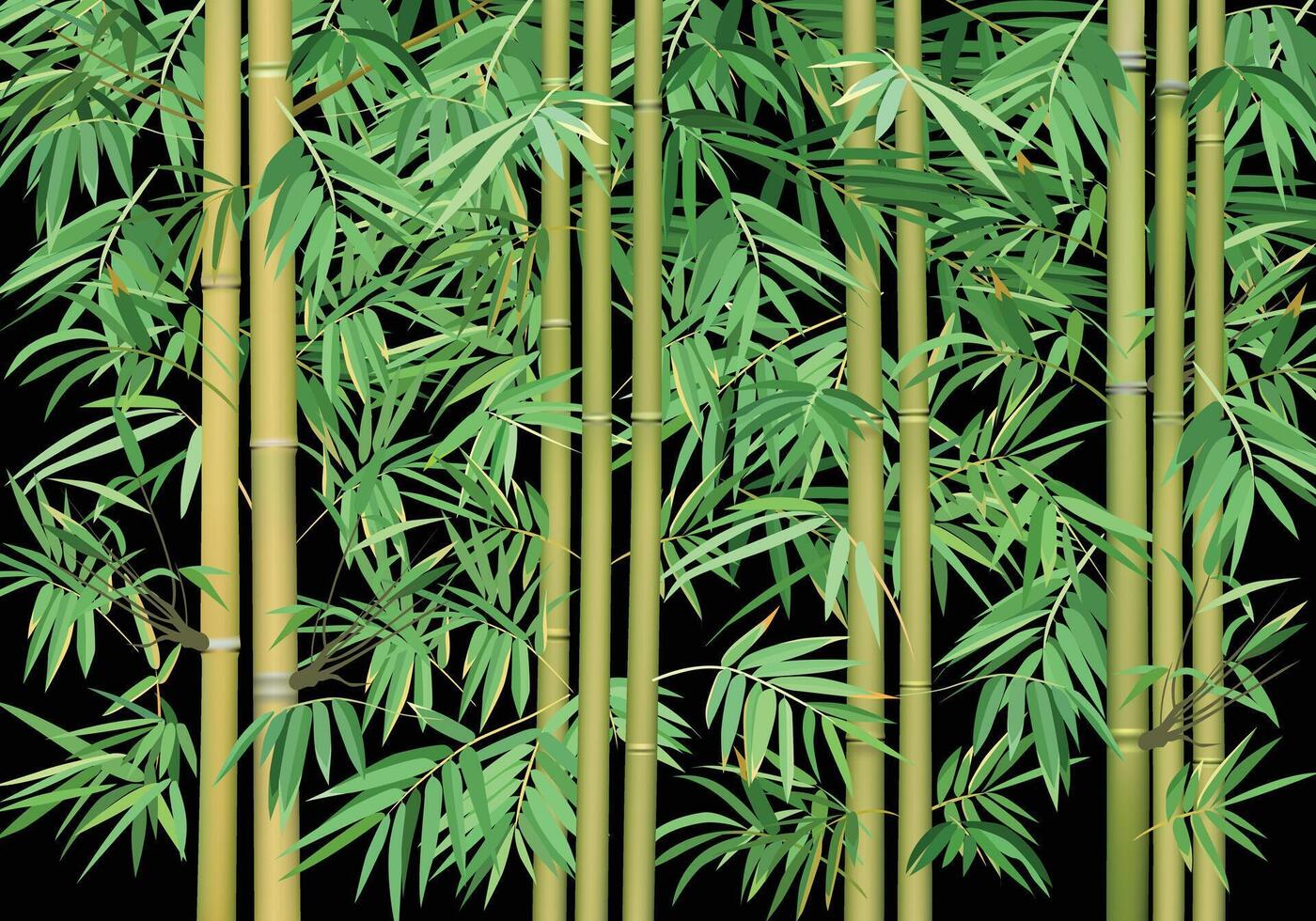 bamboo tree with dense green leaves vector isolated on dark background