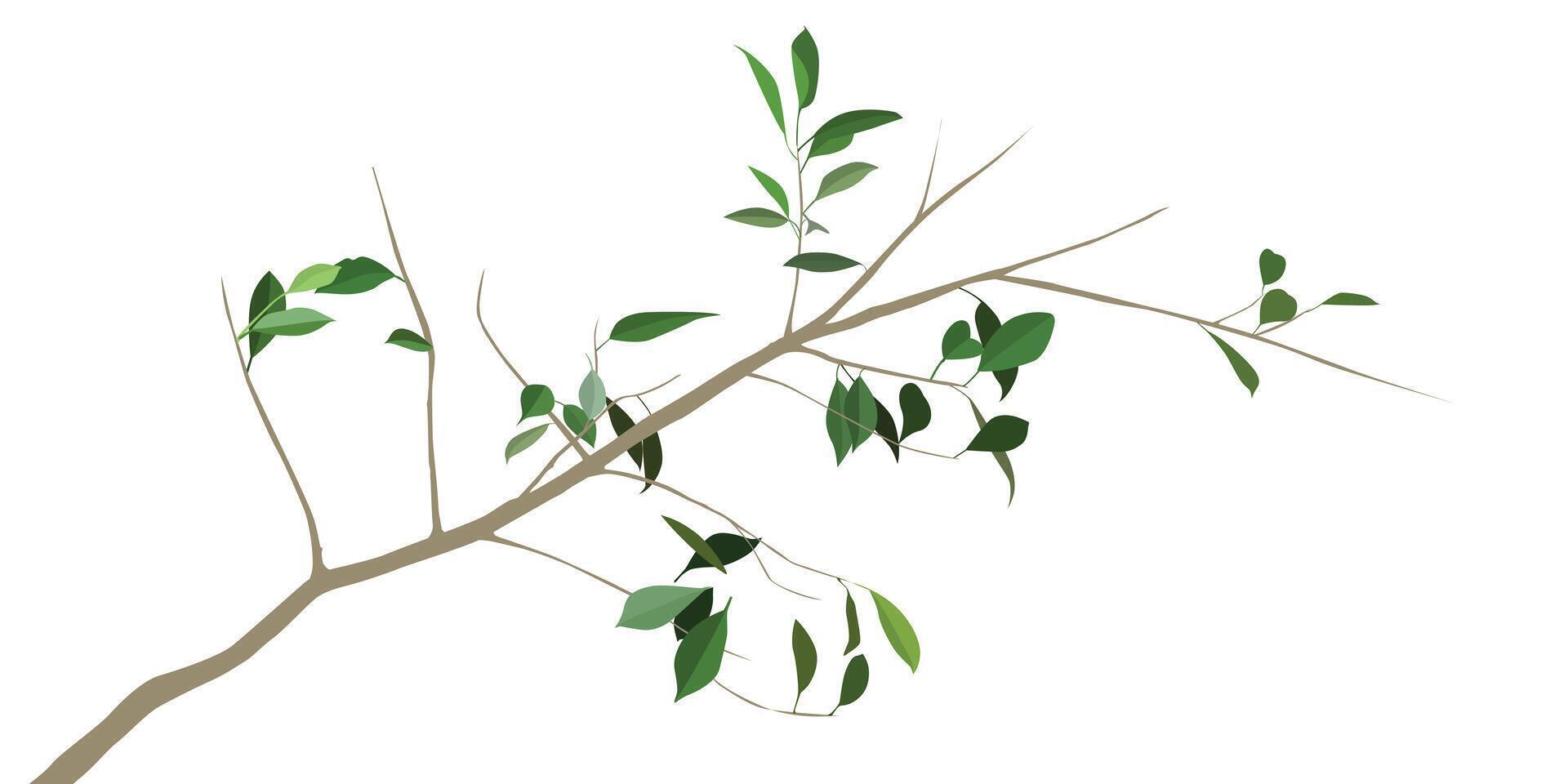 simple plant vector for background design.