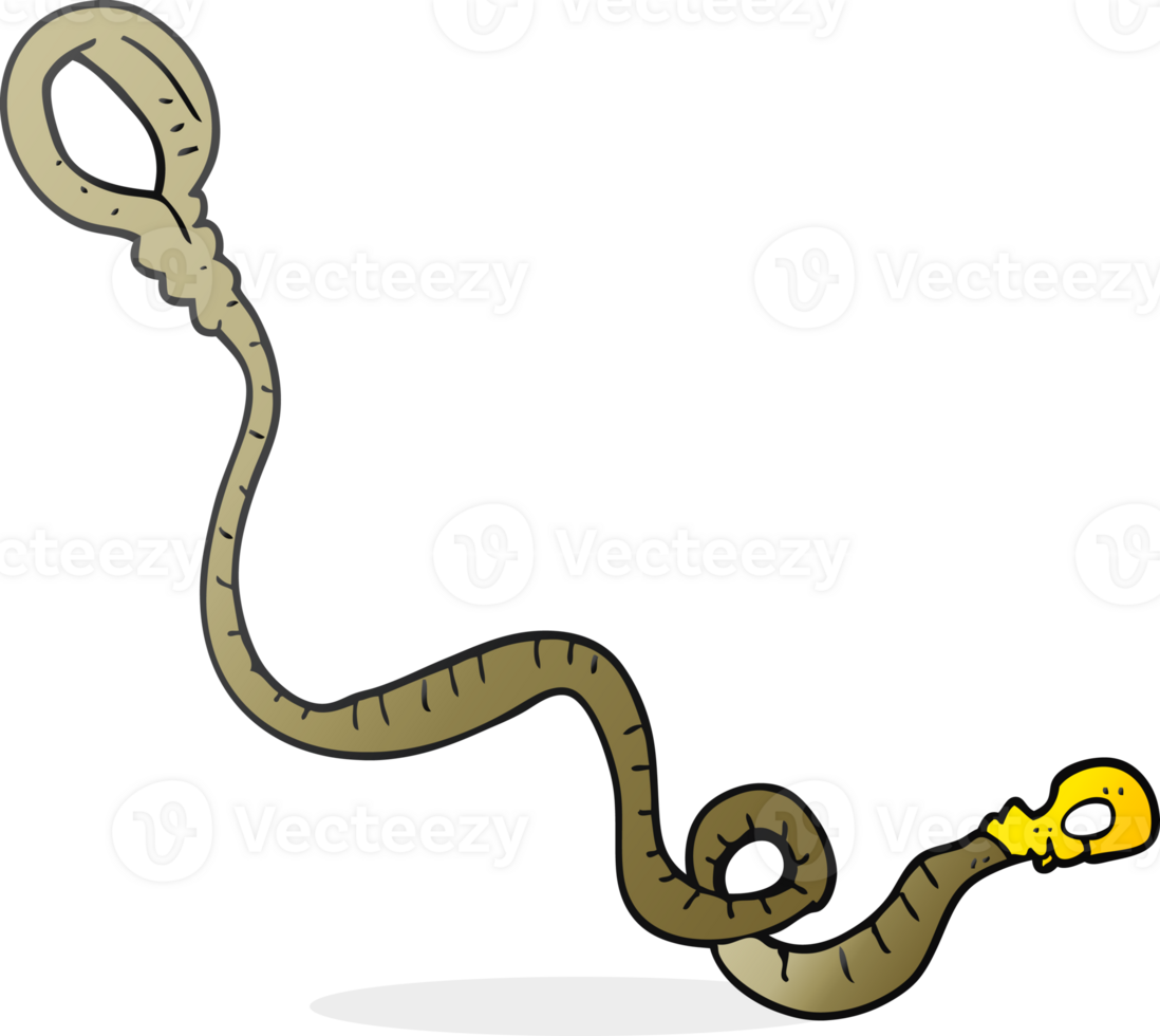 hand drawn cartoon dog leash png