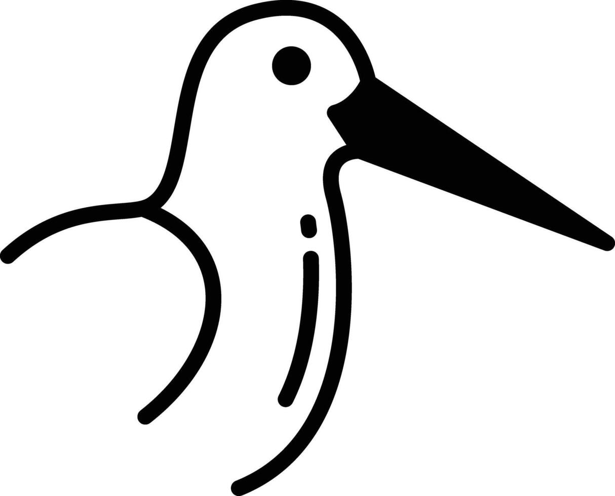 Oystercatcher bird glyph and line vector illustration