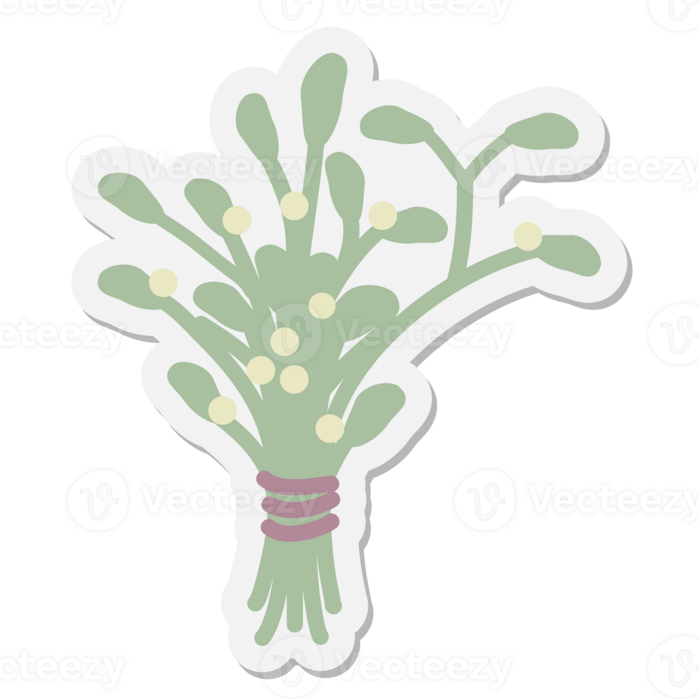 mistletoe for spells sticker png