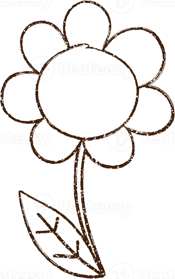 Scribbled Flower Charcoal Drawing png