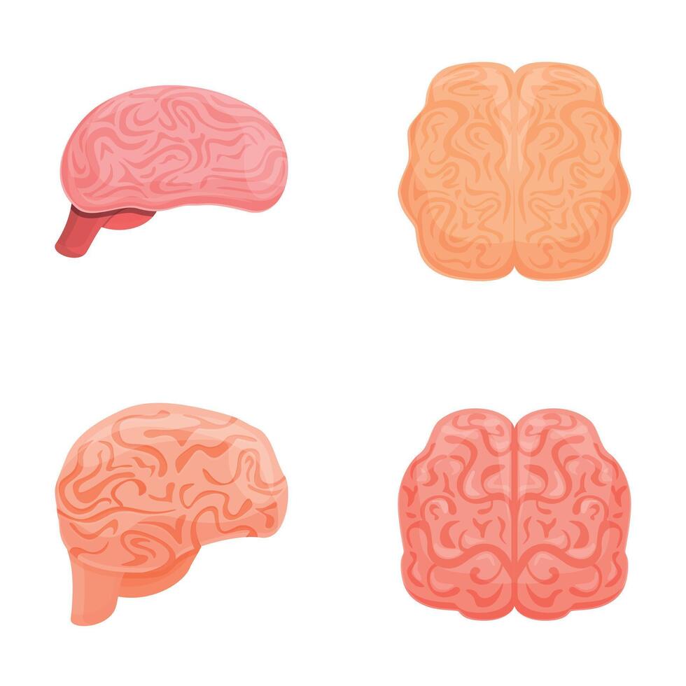 humano cerebro íconos conjunto dibujos animados vector. izquierda y Derecha hemisferio de humano cerebro vector