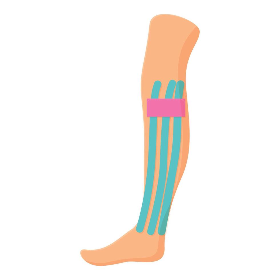 Leg tape icon cartoon vector. Kinesio sport medicine vector