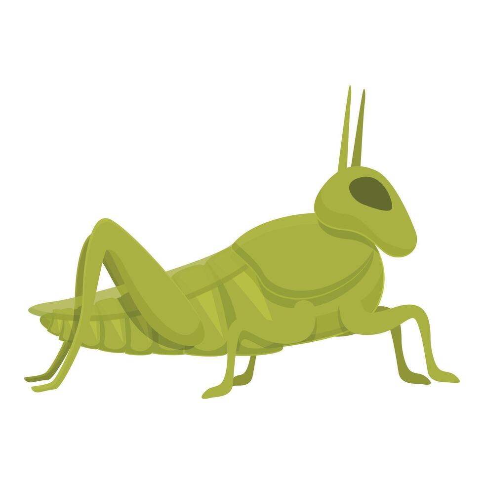 Color grasshopper icon cartoon vector. Nature insect vector