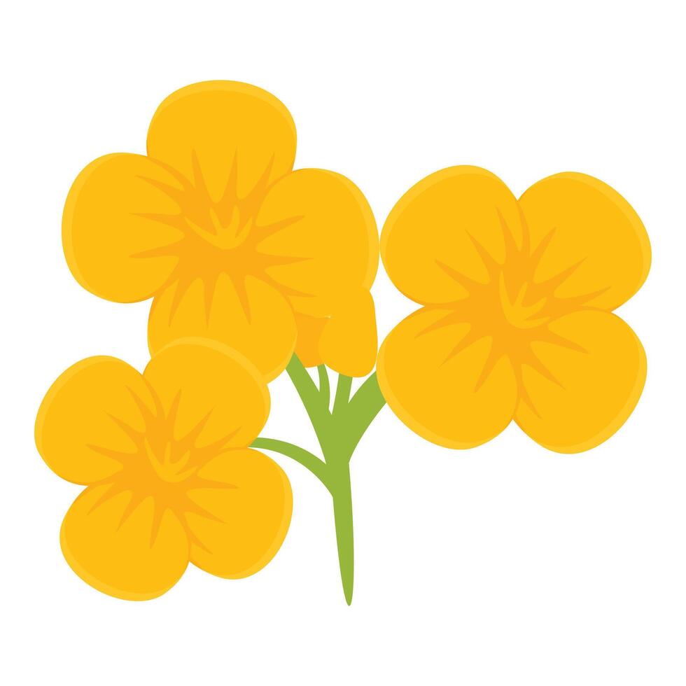 Farming rape flower icon cartoon vector. Extract food vector