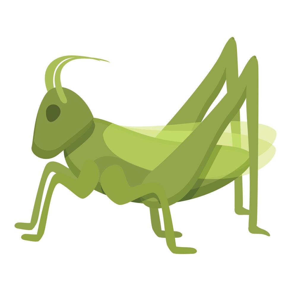 saltar saltamontes icono dibujos animados vector. vida insecto vector