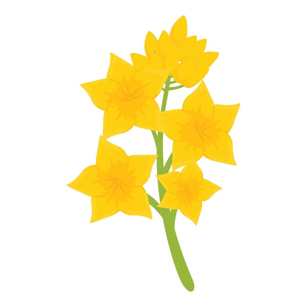 Organic canola plant icon cartoon vector. Rapeseed extract vector