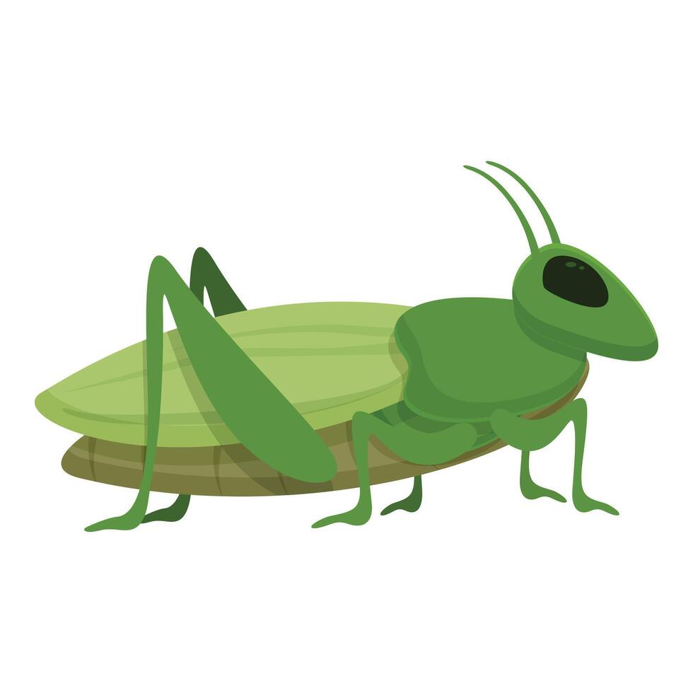 Grasshopper leg icon cartoon vector. Creature bug vector