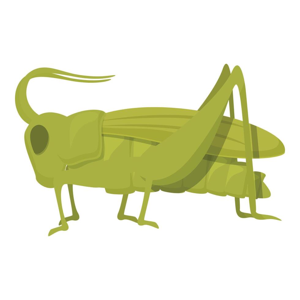 Happy grasshopper icon cartoon vector. Art nature insect vector