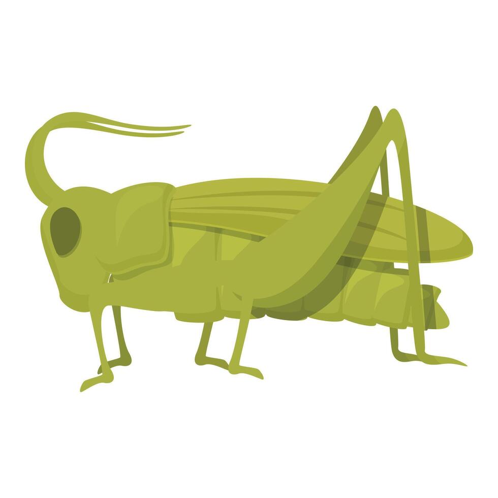 contento saltamontes icono dibujos animados vector. Arte naturaleza insecto vector