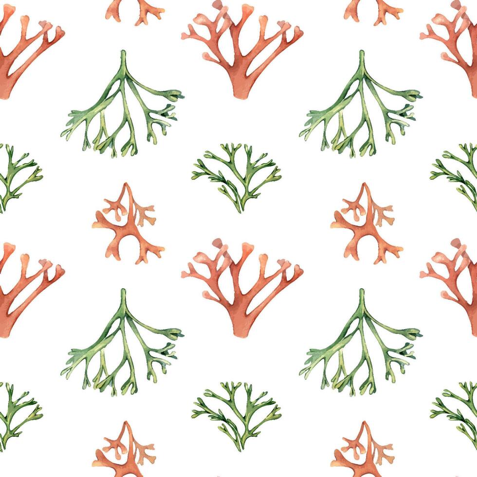 acuarela sin costura modelo de mar plantas, coral aislado en blanco. rosado palmata algas marinas mano dibujado. pintado codio, tonto. diseño elemento para paquete, textil, papel, embalaje, marina recopilación. vector