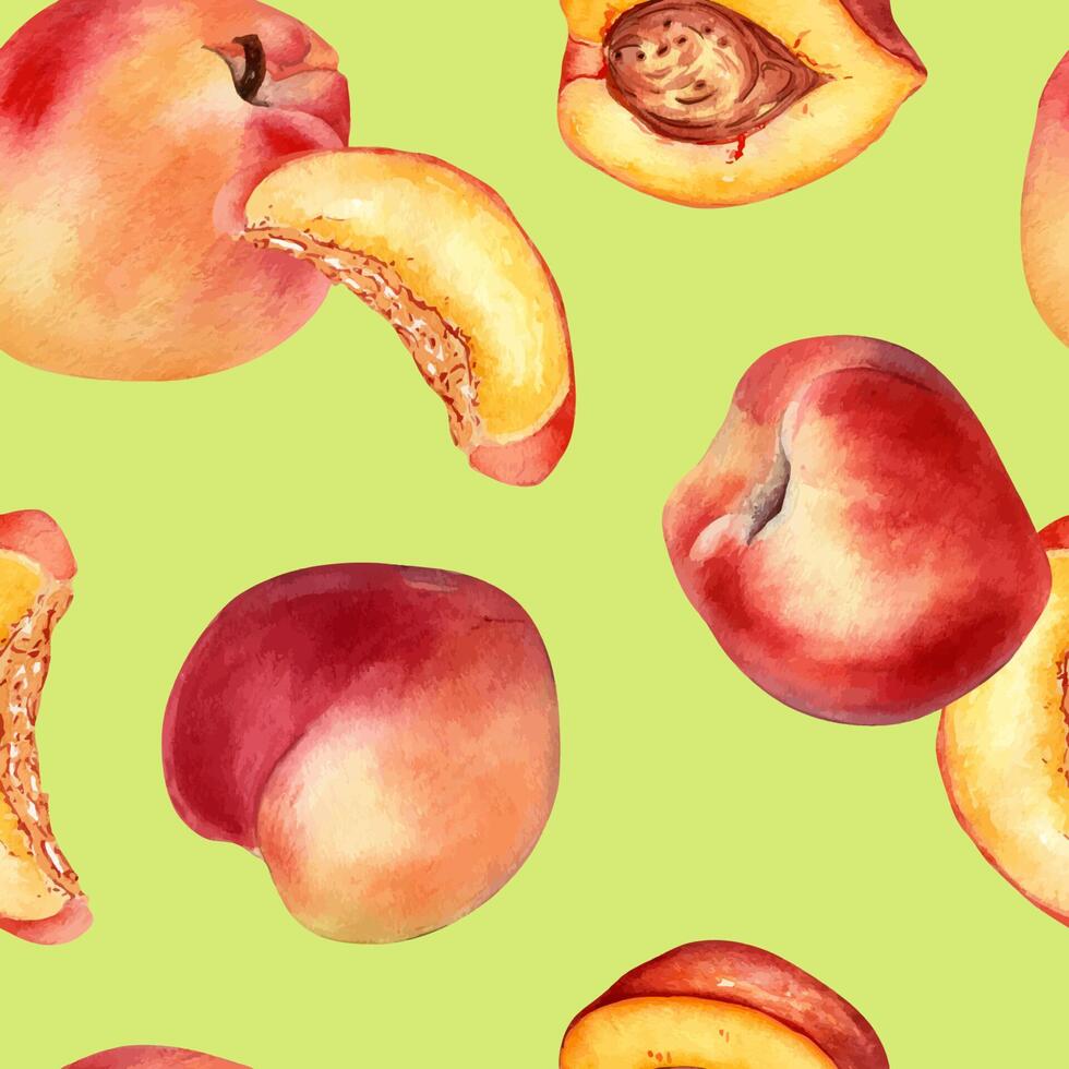 Watercolor seamless pattern with nectarines and peaches isolated on green background. Whole ripe and half fruits. Apricot hand drawn. Design element for package, textile, wrapping paper, fabric vector