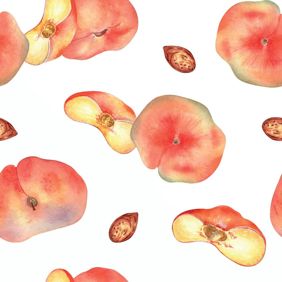 Watercolor seamless pattern with fig peaches and slice isolated on white background. Whole ripe and half fruits. Chines peaches hand drawn. Design element for package, textile, wrapping paper, fabric. vector