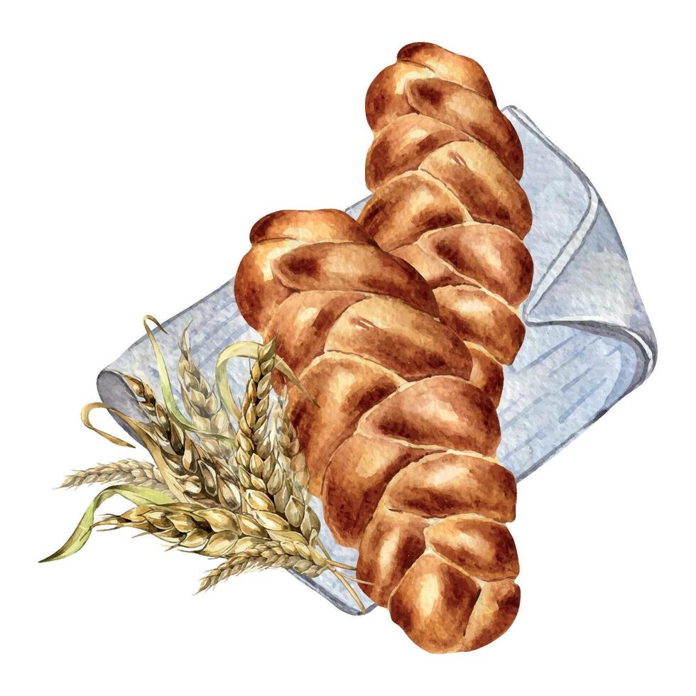 Challah tradition Jewish bread watercolor illustration isolated on white background. Hand drawn Israelite bread on napkin. Painted bread with ear of wheat. Element for design packaging, bakehouse vector