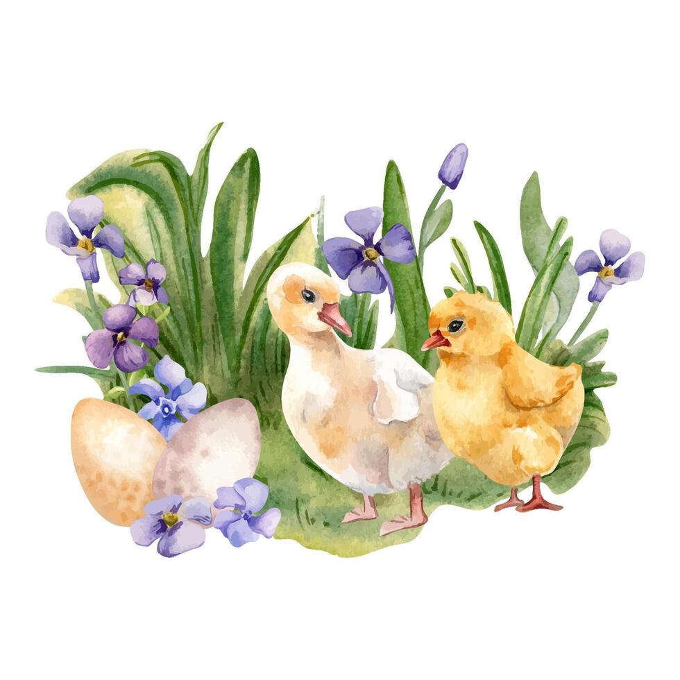 Easter floral scene with chick and duckling watercolor illustration isolated on white background. Easter eggs with blue flowers hand drawn. Painted aubrieta. Composition for design Easter decoration. vector
