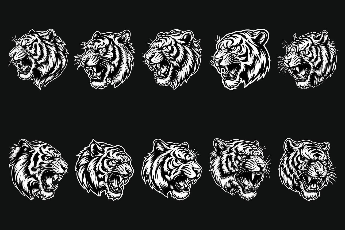 oscuro Arte enojado bestia Tigre cabeza negro y blanco ilustración vector