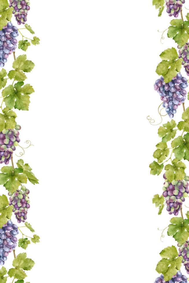 Frame of bunch red grapes with leaves. Template of vine. Isolated watercolor illustrations for the design of labels of wine, grape juice and cosmetics, wedding cards, stationery, greetings cards vector