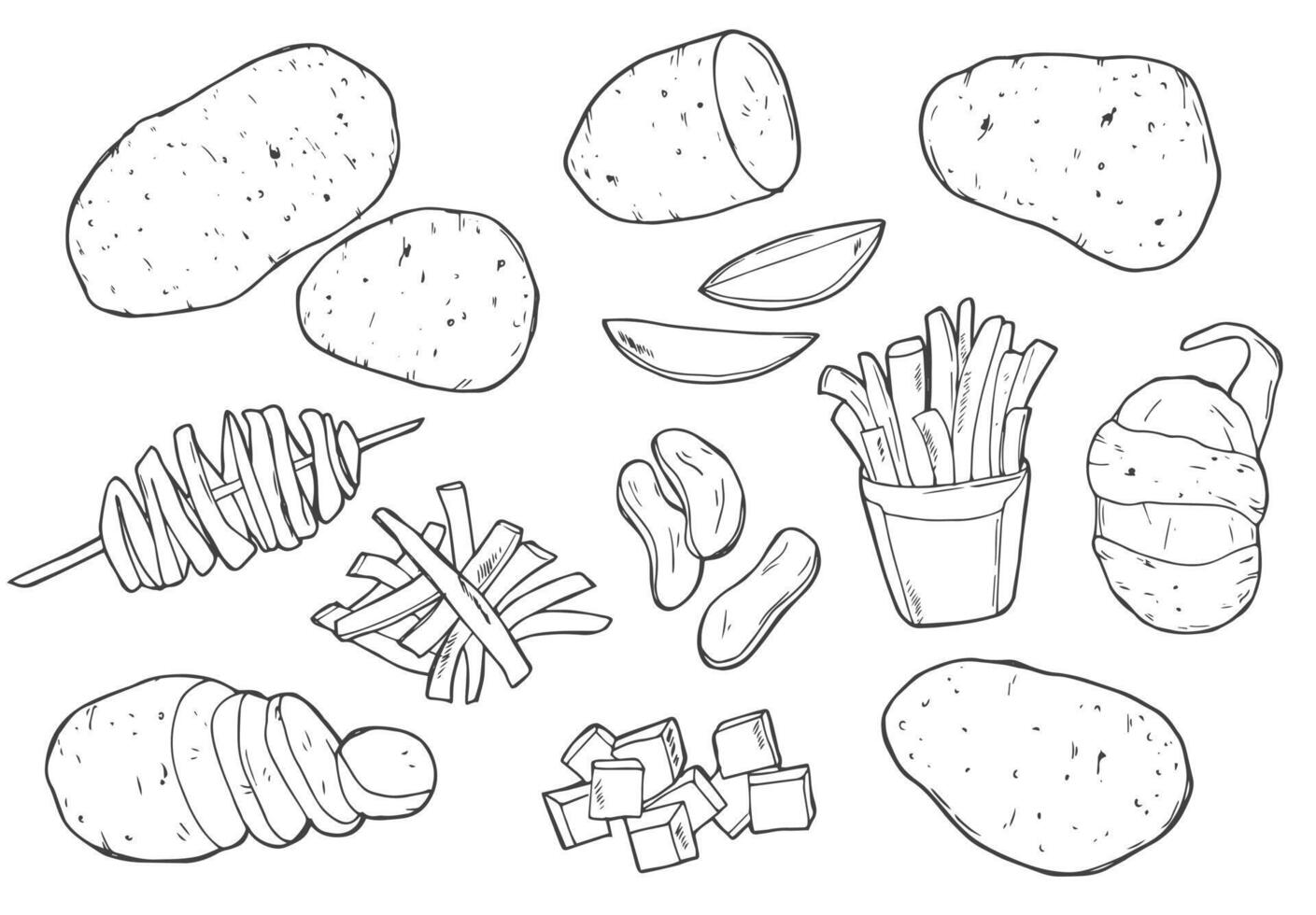 Hand drawn sketch style set illustration of ripe potatoes. Doodle potato sketch set vector