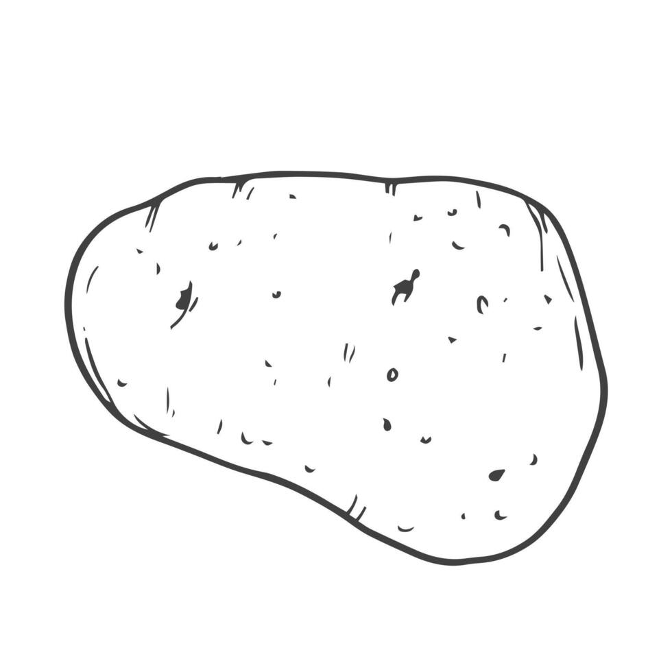 Doodle potato icon in vector. Line potato sketch icon vector