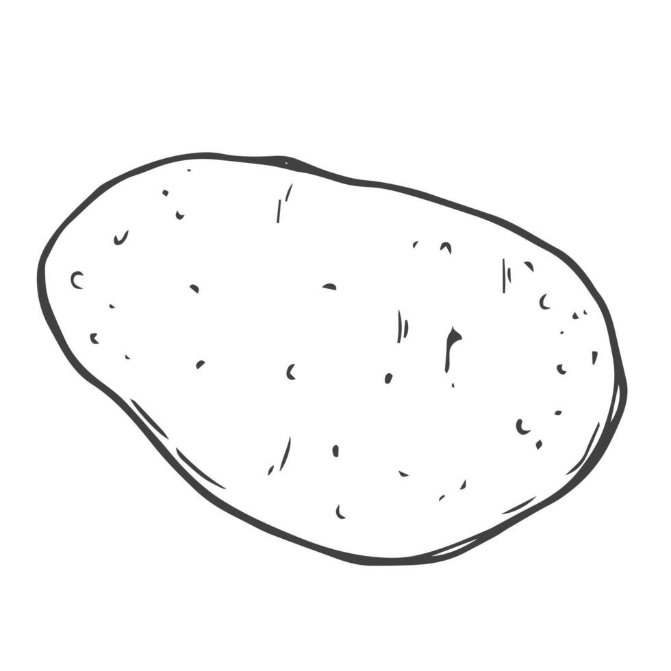 Doodle potato icon in vector. Line potato sketch icon vector