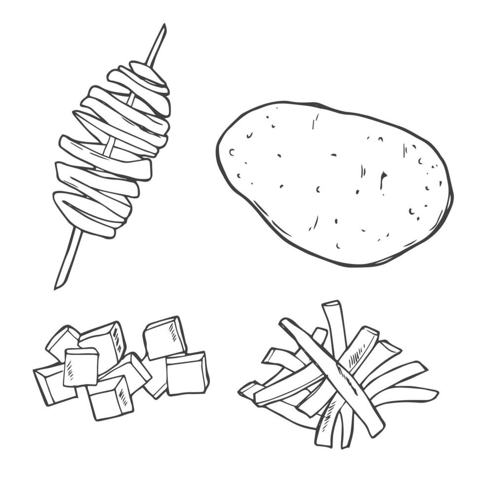 Tornado potato on stick icon. Spiral potato. Fried salt chips fast food. Popular korean street food. French fries and potato chips sketch vector