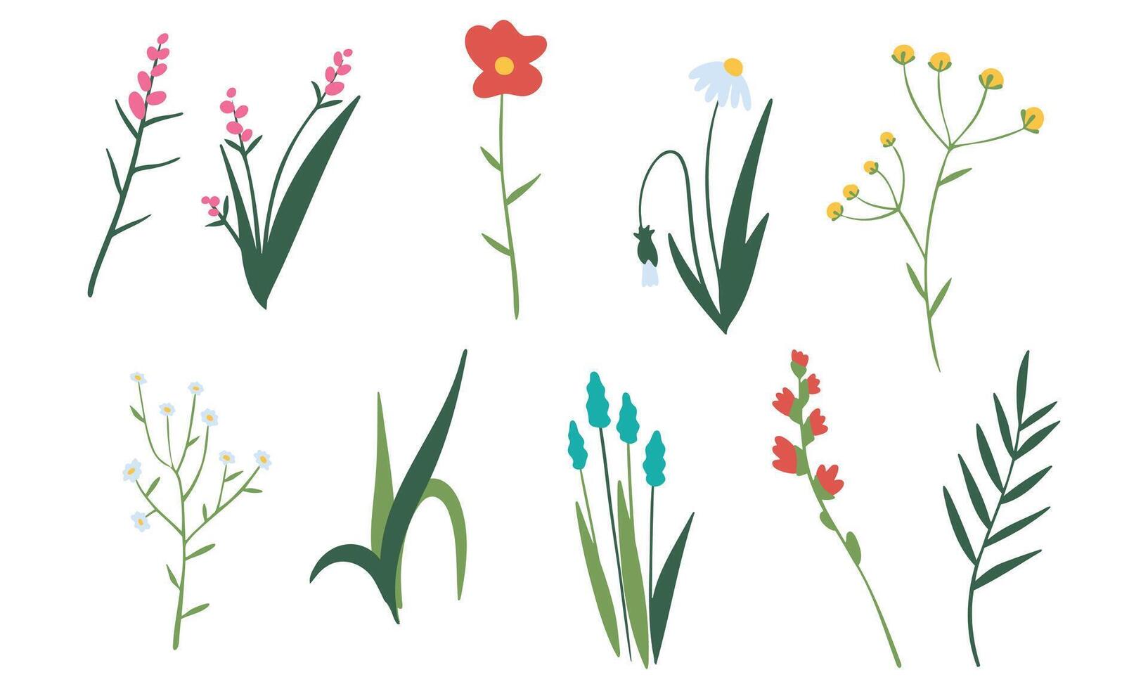 Floral set of beautiful blooming wildflowers and leaves. Botanical collection of cut meadow and garden flowers isolated on white. Elegant spring plants for floristry. Flat vector cartoon illustration