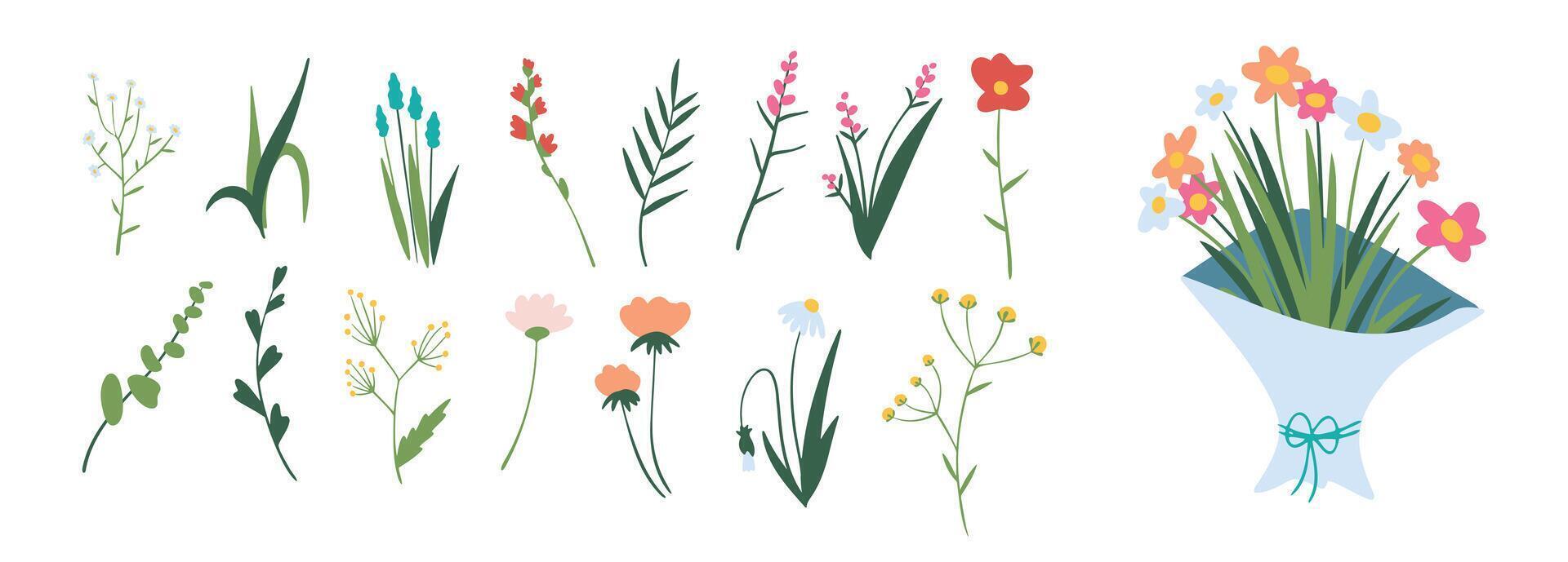 Minimalistic spring florals vector illustration set. Cartoon simple flowers, leaves, brunches, plants