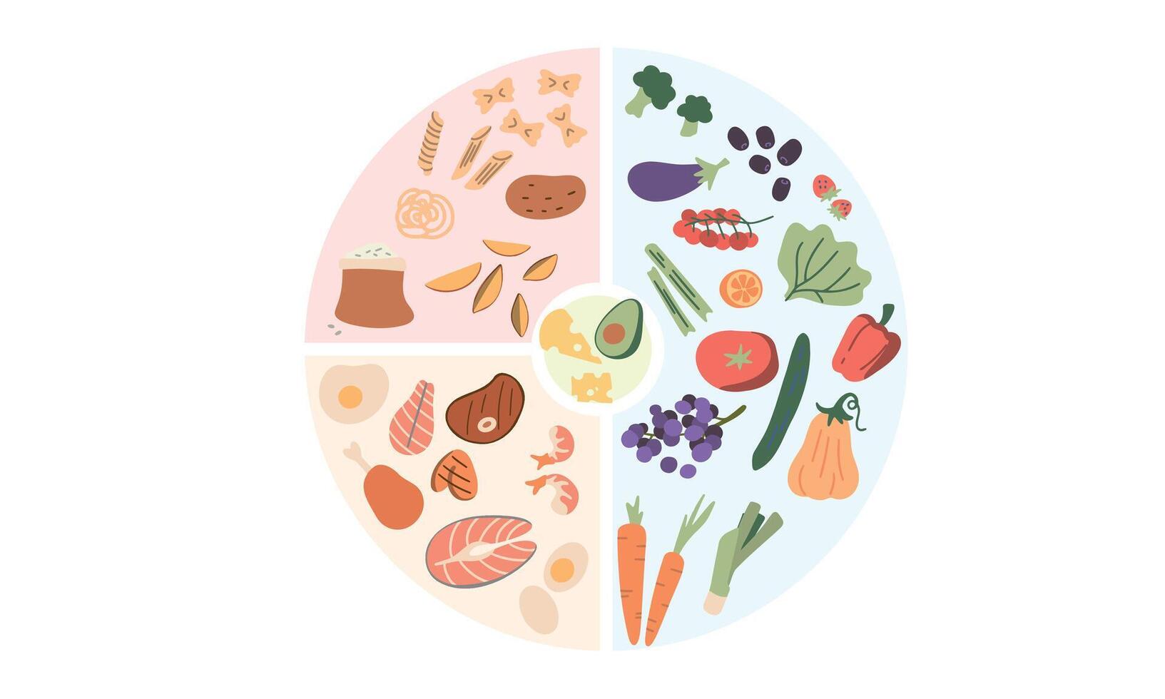 Foods infographics. Healthy eating plate. Infographic chart with proper nutrition proportions. Food balance tips. vector