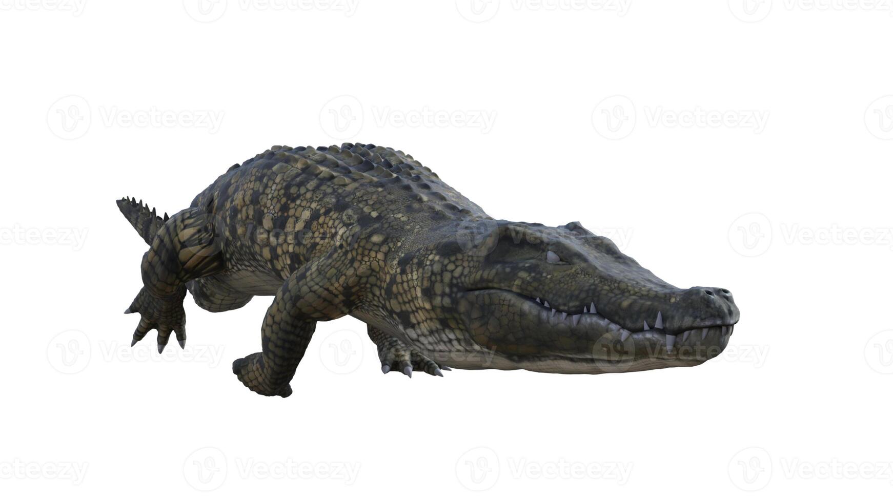 3d rendering of a crocodile on a white background photo
