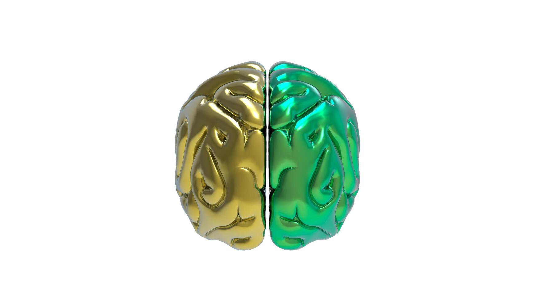 3d Brain object on white background photo