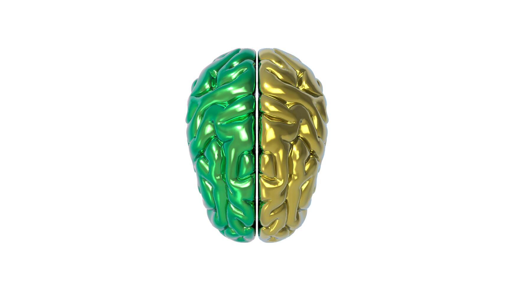 3d Brain object on white background photo