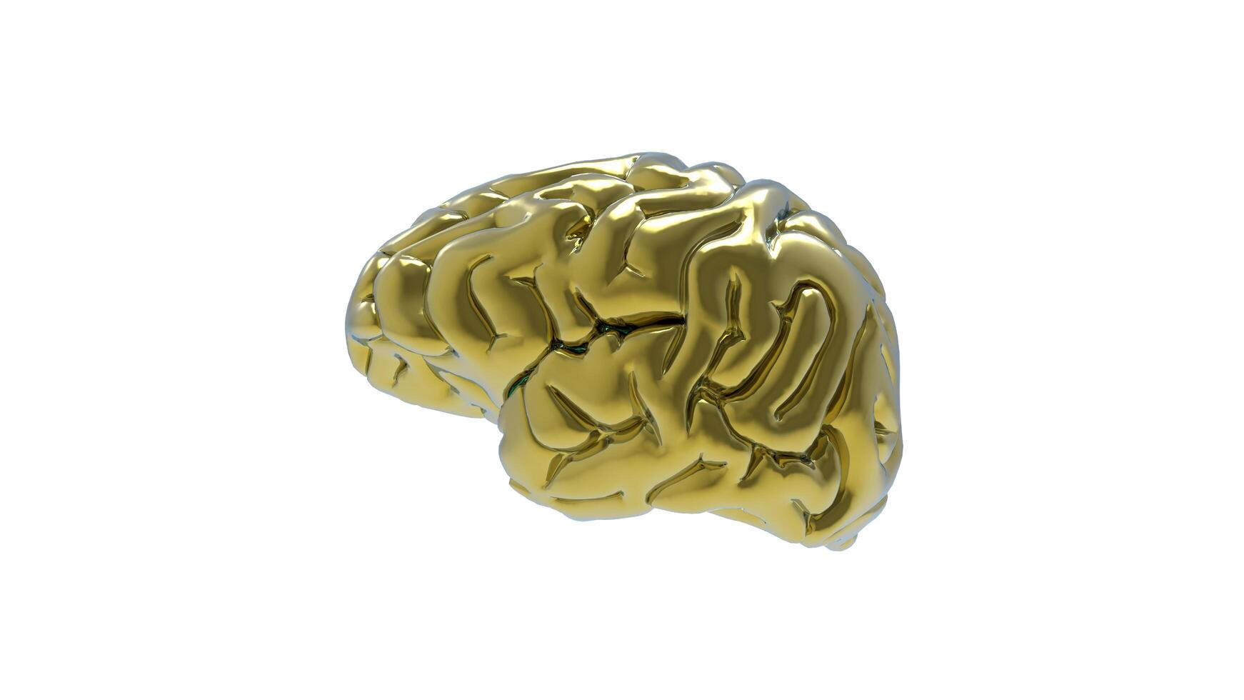 3d Brain object on white background photo