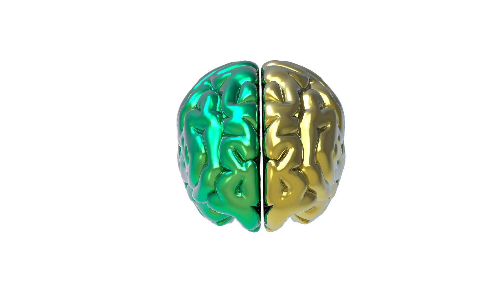 3d Brain object on white background photo