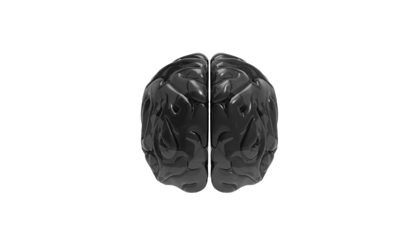 3d Brain object on white background photo