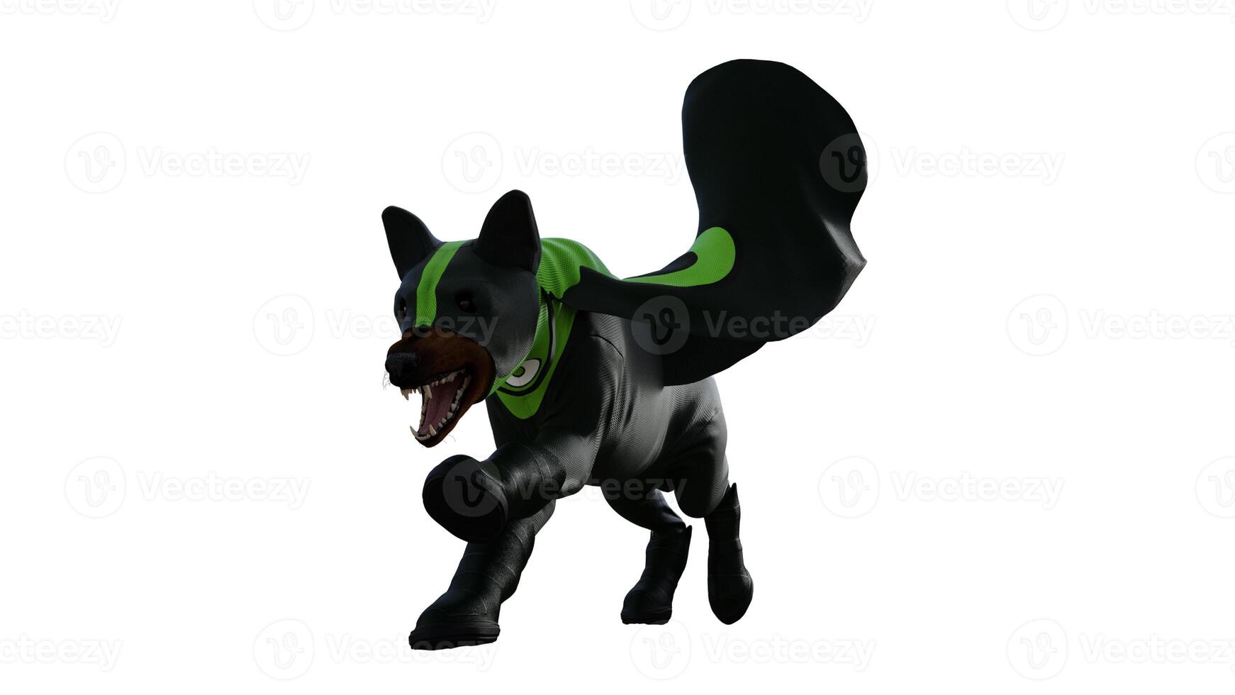 dog dressed costume on white background photo