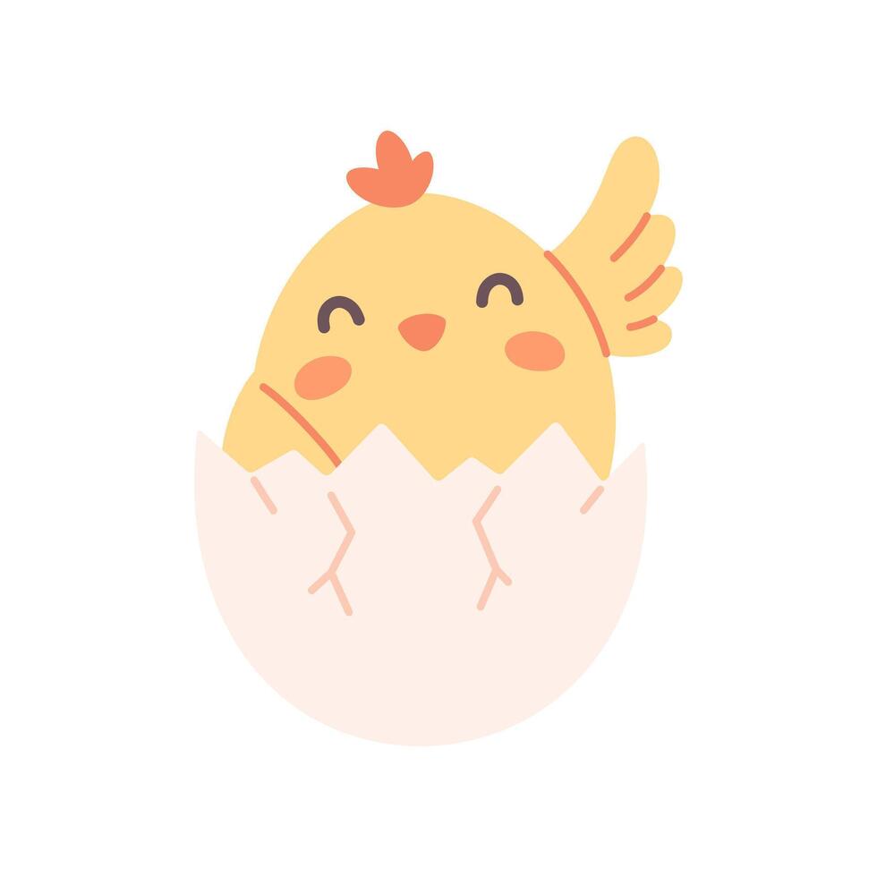 Cute chick in egg shell. Easter chick, springtime. Farm animal vector