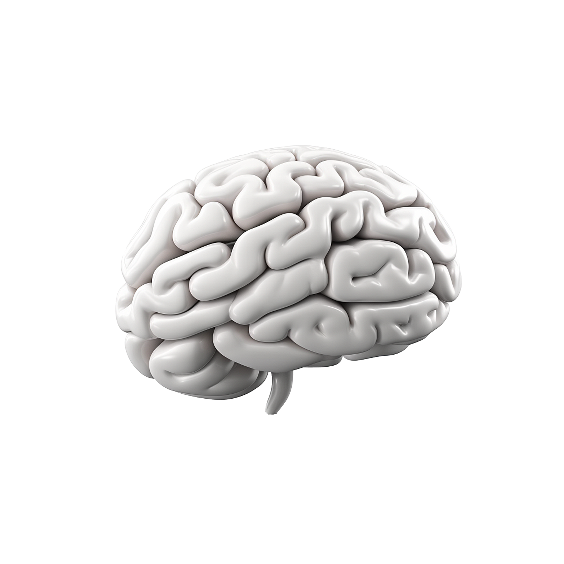 AI generated Brain side view png isolated on transparent background