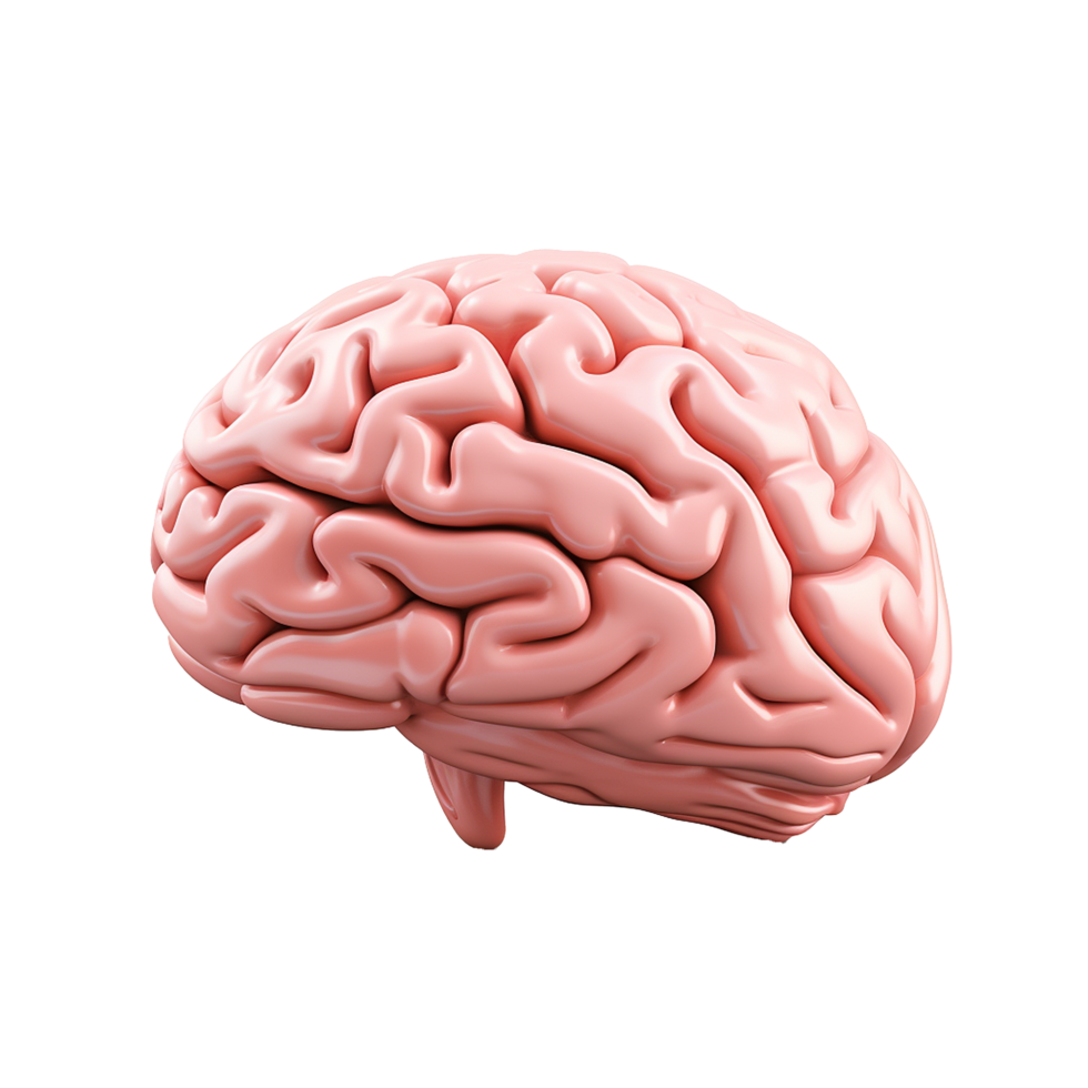 AI generated Brain side view png isolated on transparent background