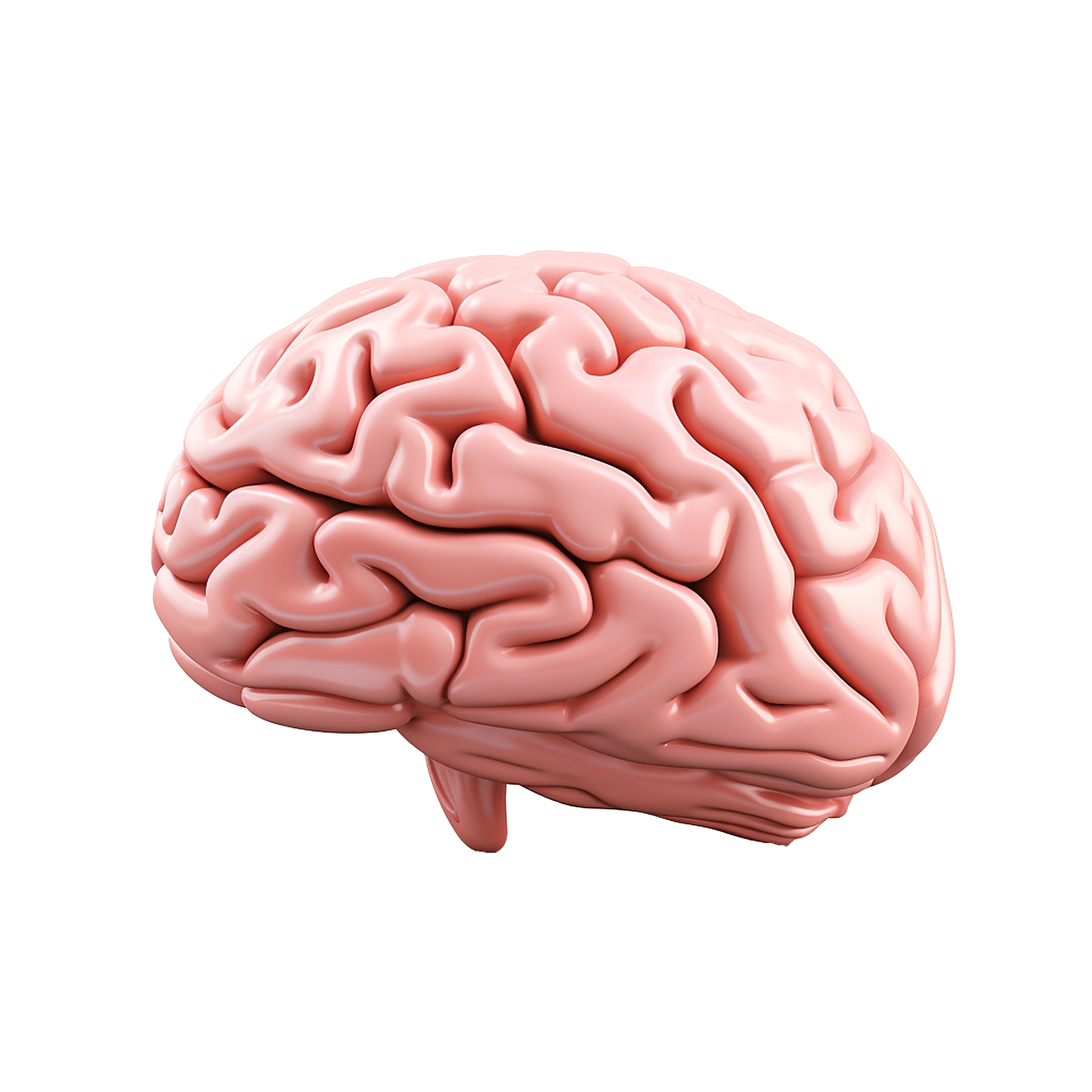 AI generated Brain side view png isolated on transparent background