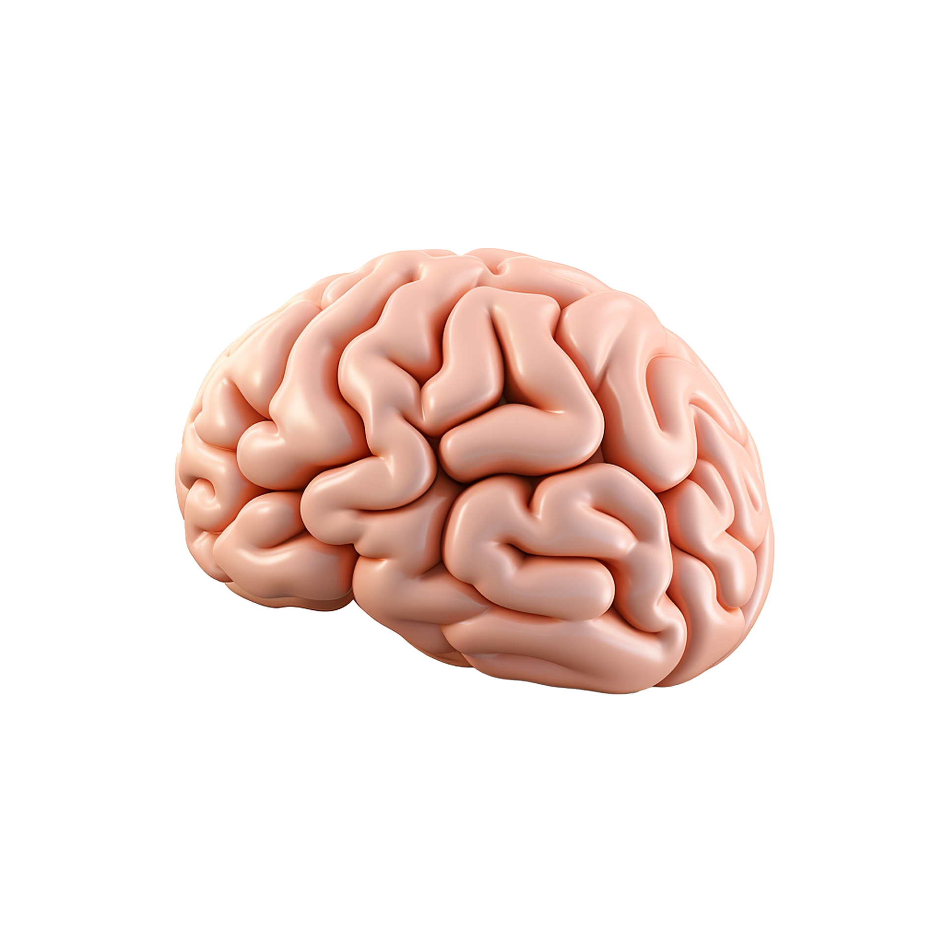 AI generated Brain side view png isolated on transparent background