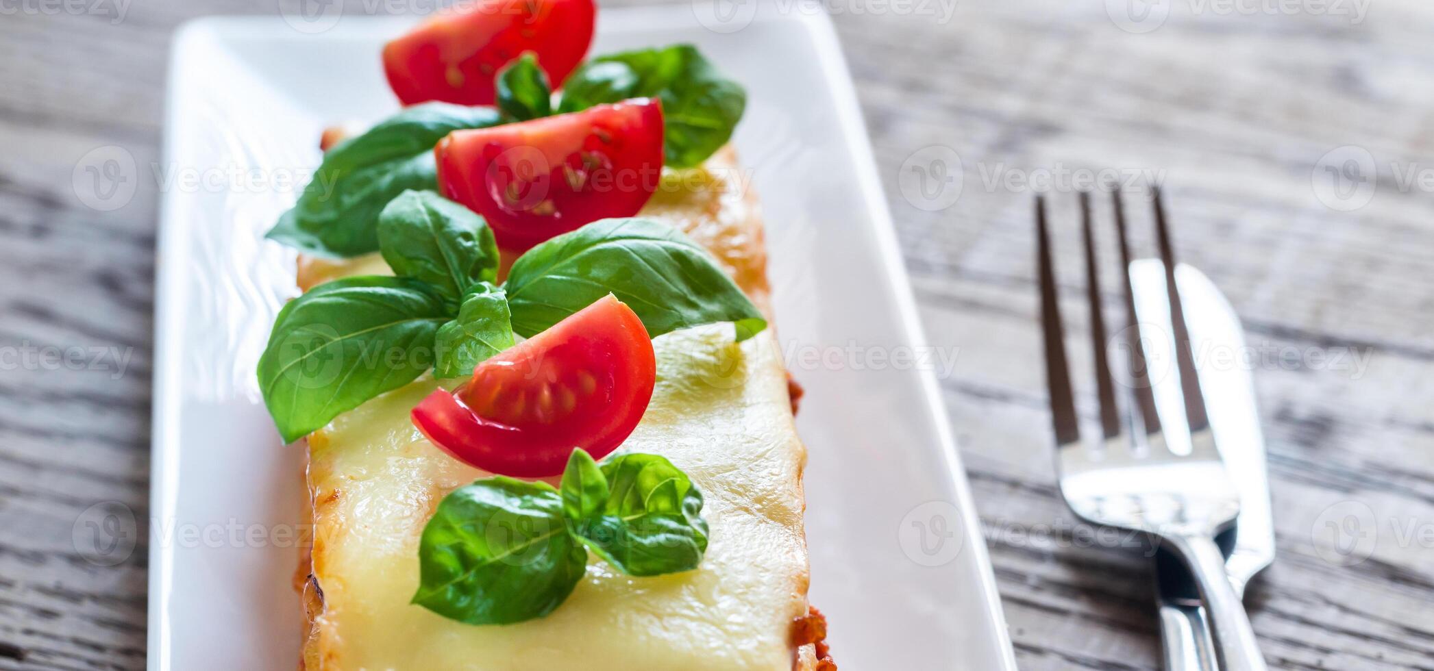 Portion of classic lasagne photo