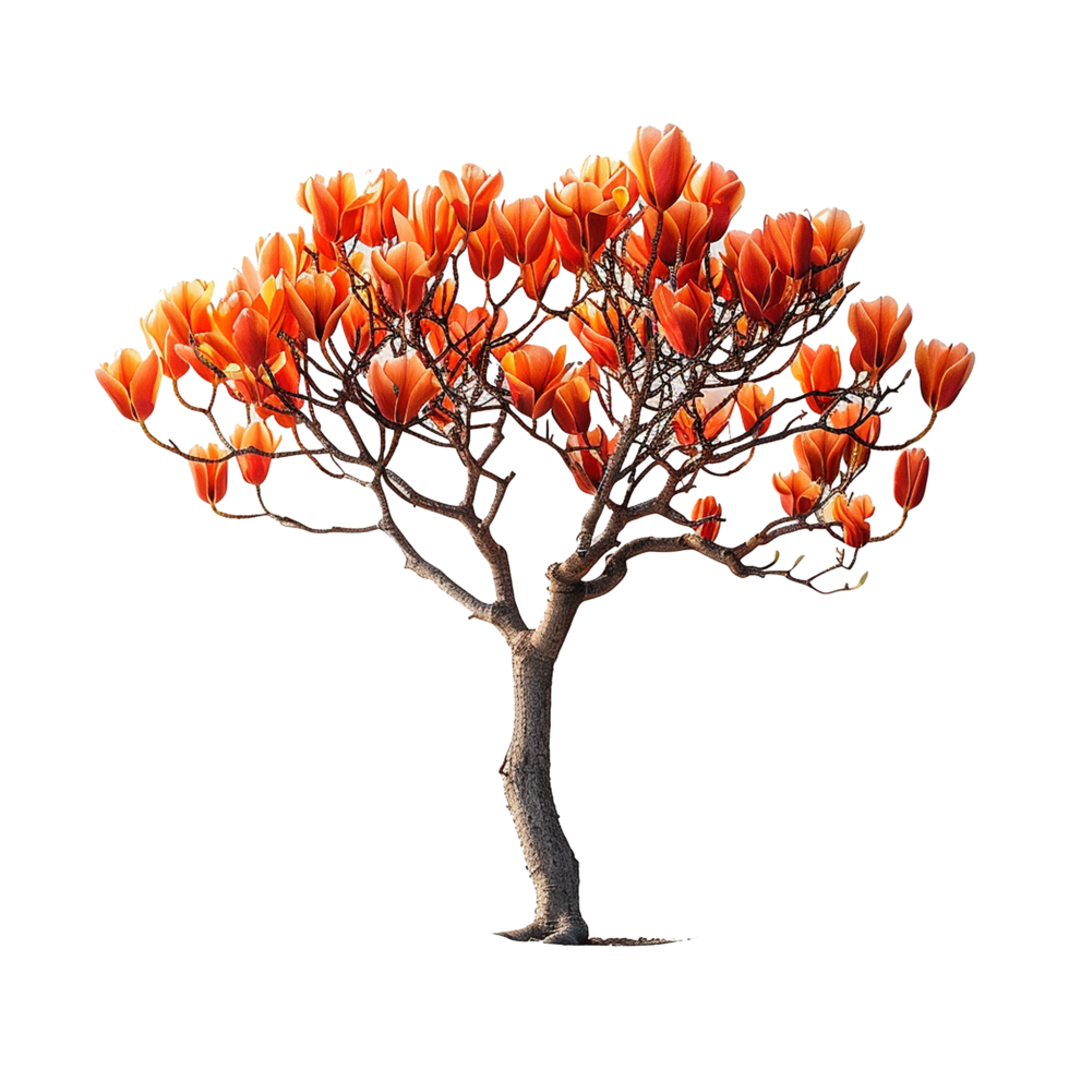 AI generated Tulip tree isolated on transparent background png