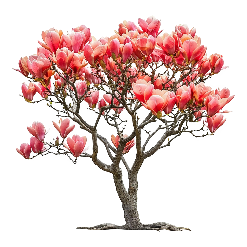 AI generated Tulip tree isolated on transparent background png