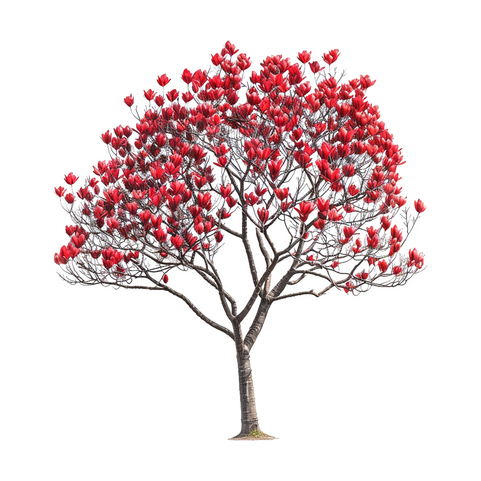 AI generated Tulip tree isolated on transparent background png