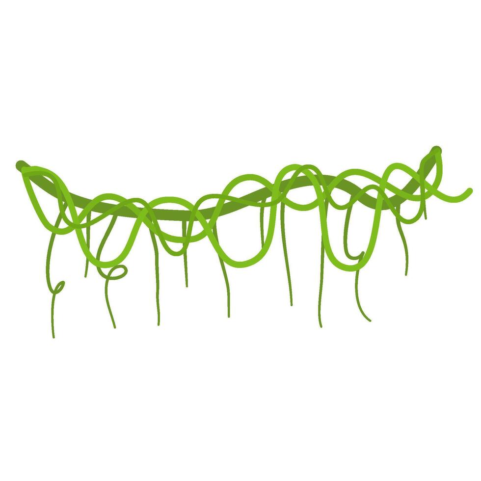 Lianas branch with vines vector