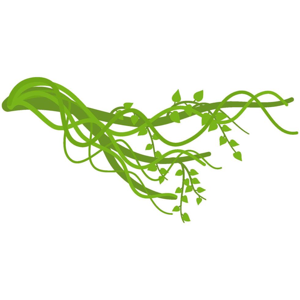 lianas rama con vides vector