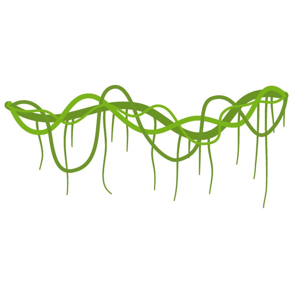 Lianas branch with vines vector